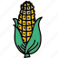 corn, food, harvest, ingredient, maze, taste 