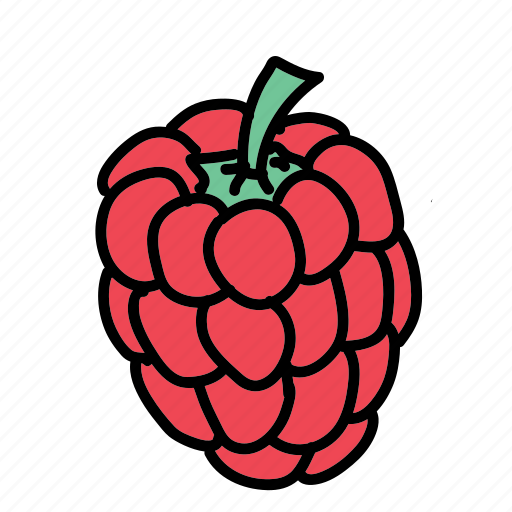 Food, fruit, ingredient, raspberry, sweet, taste icon - Download on Iconfinder