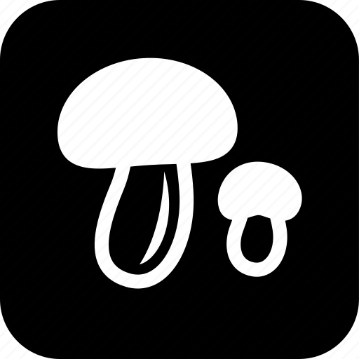 Cooking, fingi, food, meal, mushroom, restaurant icon - Download on Iconfinder