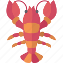lobster, seafood, cooking, ingredient, meal