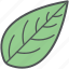 eco, foliage, leaf, nature, plant leaf, tree leaf 