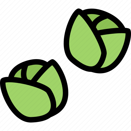 Brussels, food, fruit, grocery store, meat, sprouts, vegetable icon - Download on Iconfinder