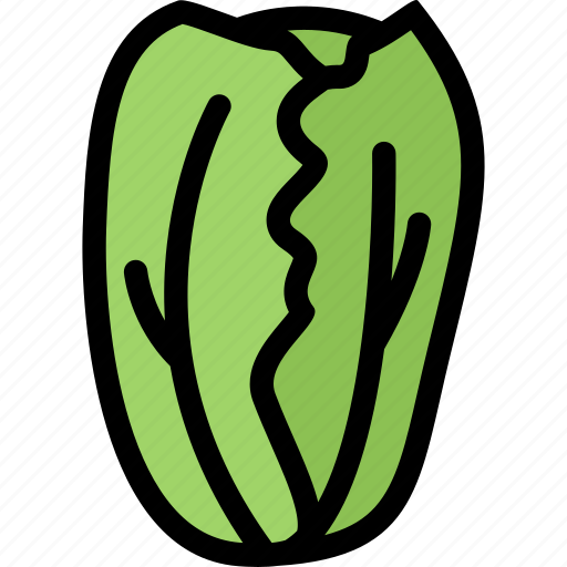 Cabbage, food, fruit, grocery store, meat, vegetable icon - Download on Iconfinder