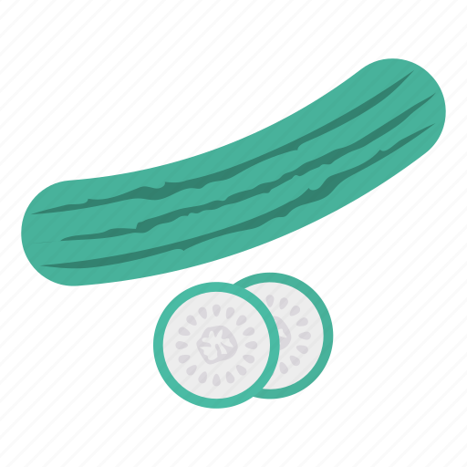 Cucumber, eat, food, vegetable icon - Download on Iconfinder