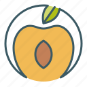 apricot, circle, eat, fruit, healthy food, peach
