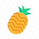 pineapple, pineapples, fruit, tropical, ananas, pineapple fruit, slice of pineapple, tropical fruit