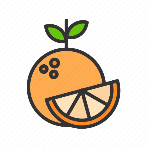 Orange, lime, slice, fruit, citrus, juice, sour icon - Download on Iconfinder