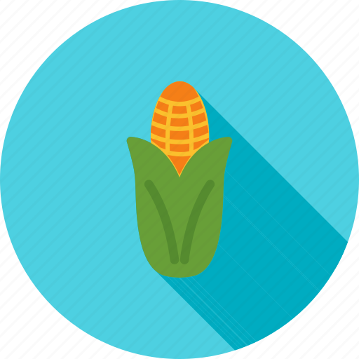 Corn, food, healthy, maize, nutrition, ripe, vegetable icon - Download on Iconfinder