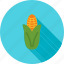 corn, food, healthy, maize, nutrition, ripe, vegetable 