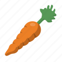 carrot, organic, root, vegetable, vegetarian, veggies