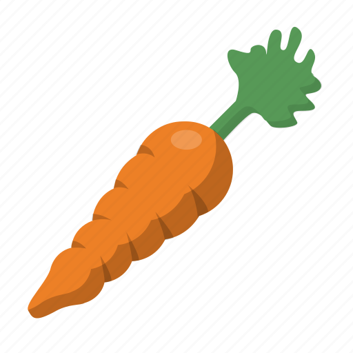 Carrot, organic, root, vegetable, vegetarian, veggies icon - Download on Iconfinder