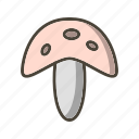 fungi, mushroom, mushroom plant