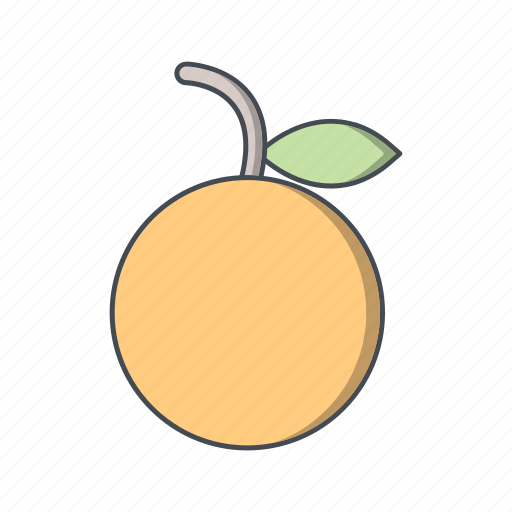 Citrus, fruit, orange icon - Download on Iconfinder