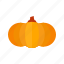 halloween, pumpkin, pumpkins, fruit 