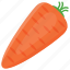 carrot, food, red carrot, root vegetable, vegetable 