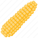 corn cob, maize, ripe corn, sweet corn, yellow corn 