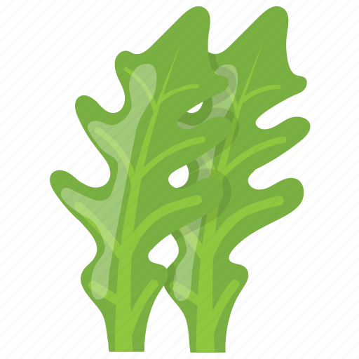 Arugula, edible leaves, green garnishing leaves, kale, vegetable herb icon - Download on Iconfinder