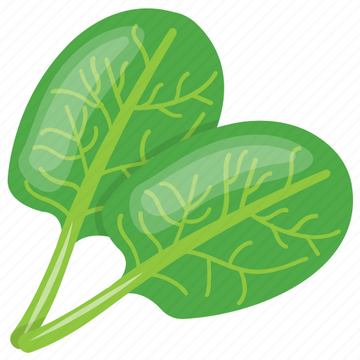 Green leaves, green vegetable, spinach, spinach leaves, vegetable icon - Download on Iconfinder