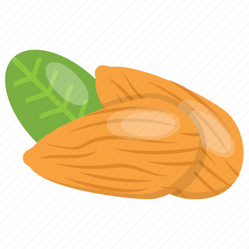 Almond, almond nutrition, dry fruit, nut, roasted almonds icon - Download on Iconfinder