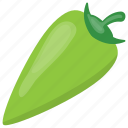 chili pepper, green chili, hot chili, spice, vegetable 