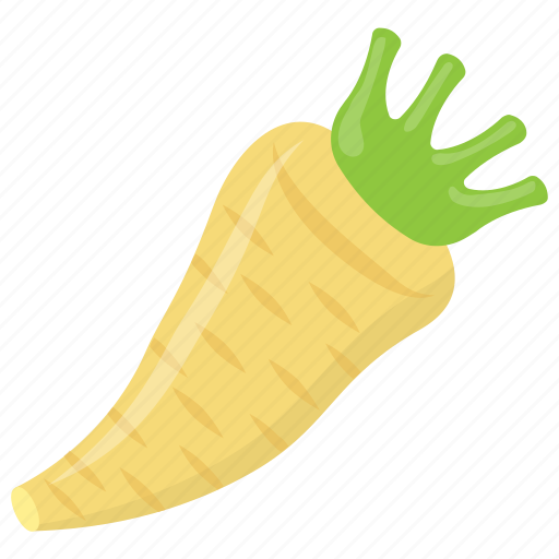 Food, radish, root vegetable, vegetable, wild carrot icon - Download on Iconfinder
