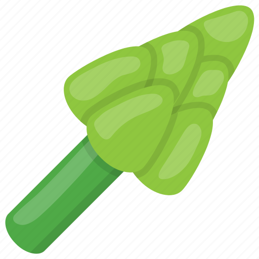 Broccoli raab, cruciferous vegetable, green vegetable, rapini, rapini rabe icon - Download on Iconfinder