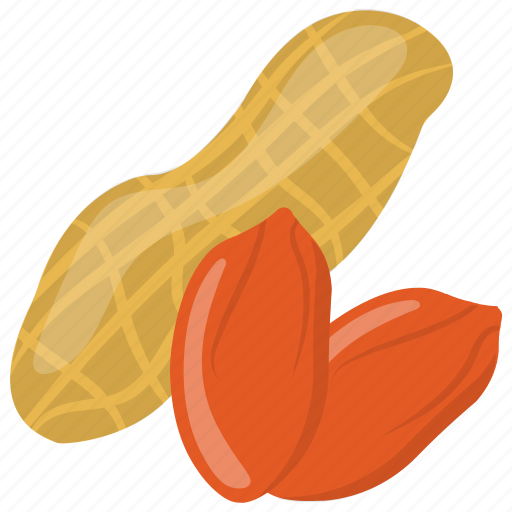 Dry fruit, goober, groundnut, peanuts, walnut icon - Download on Iconfinder