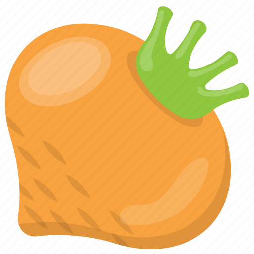 Food, natural diet, root vegetable, turnip, vegetable icon - Download on Iconfinder