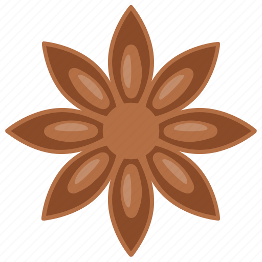 Badian, chinese star anise, illicium, star anise, star anise seed icon - Download on Iconfinder