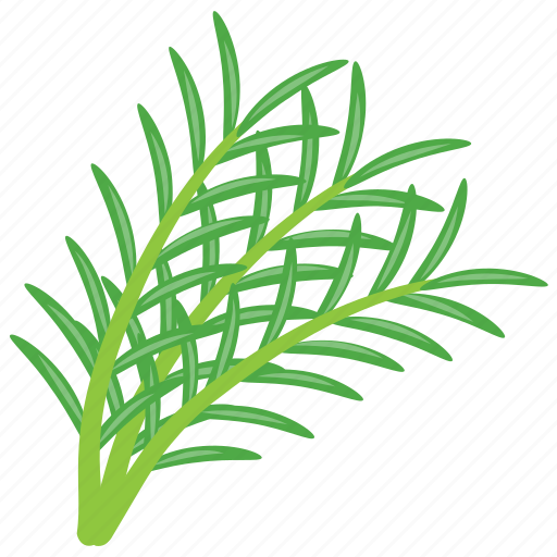 Decorative herb, edible rosemary, pest control herb, rosemary, woody herb icon - Download on Iconfinder
