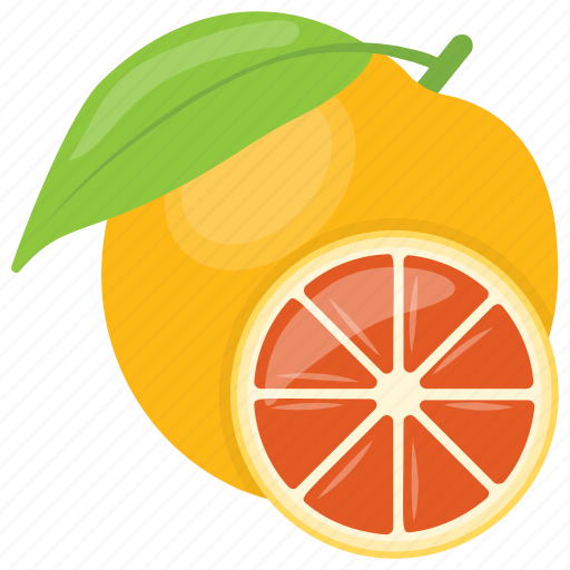 Citrus, citrus fruit, diet, orange, pulpy fruit, slice icon - Download on Iconfinder