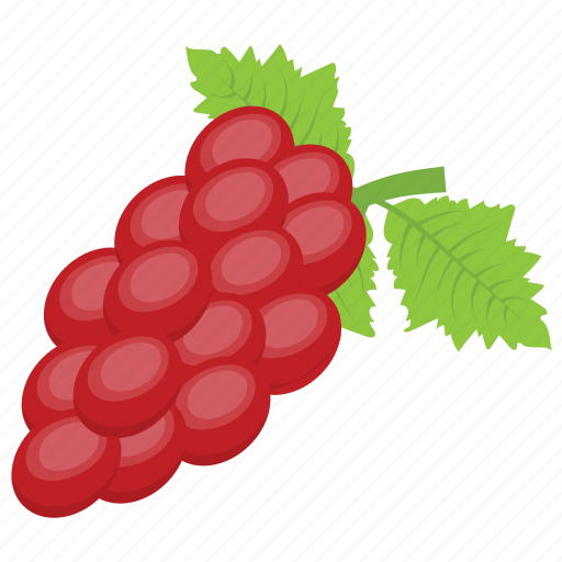 Berries, grapes, healthy fruit, pulpy fruit, red grapes icon - Download on Iconfinder