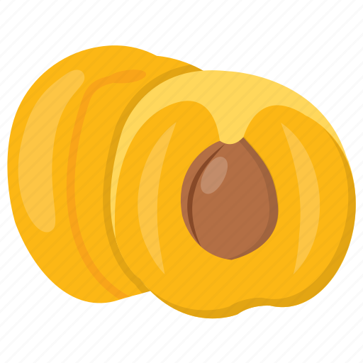 Apricot, fibre fruit, nutritious fruit, rosy fruit, sweet fruit icon - Download on Iconfinder