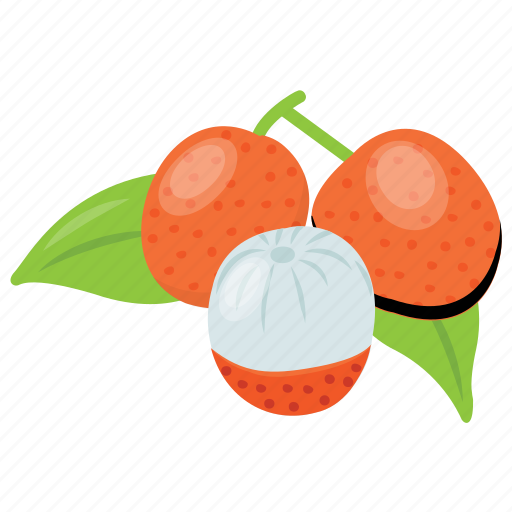Healthy food, lychee, lychee tree, pulpy fruit, scented fruit icon - Download on Iconfinder