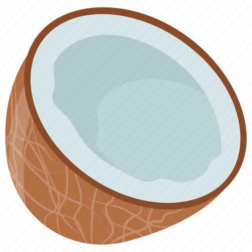 Coconut, healthy food, milky fruit, nut, tropical food icon - Download on Iconfinder