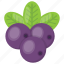 blueberries, bunch of berries, cherry, purple berries, raspberry 