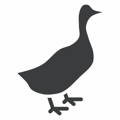Bird, duck, farm, livestock, poultry icon - Download on Iconfinder