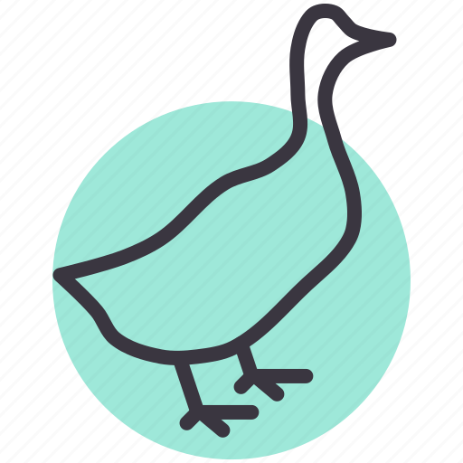 Bird, duck, farm, livestock, poultry icon - Download on Iconfinder