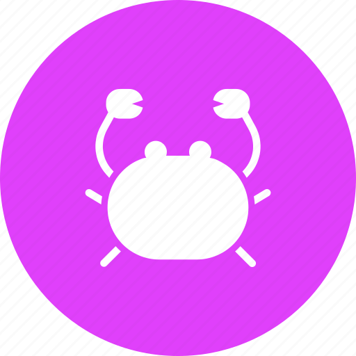 Beach, crab, marine, sea, seafood icon - Download on Iconfinder