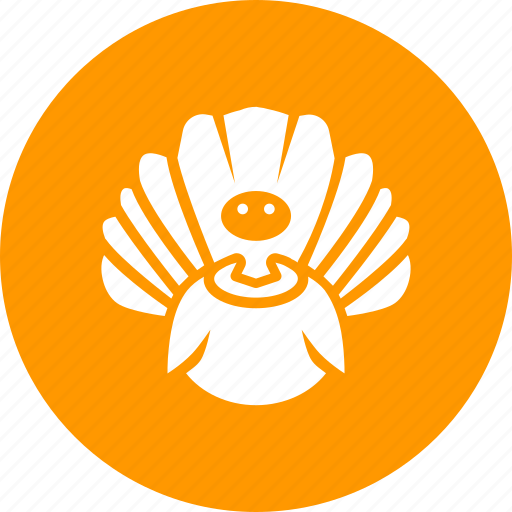 Bird, farm, poultry, thanksgiving, turkey icon - Download on Iconfinder