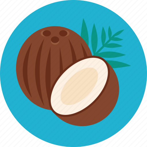 Coconut, cocoa, food icon - Download on Iconfinder