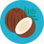 coconut, cocoa, food 