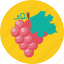 berry, food, grapes, fruit 