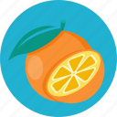 food, orange, citrus