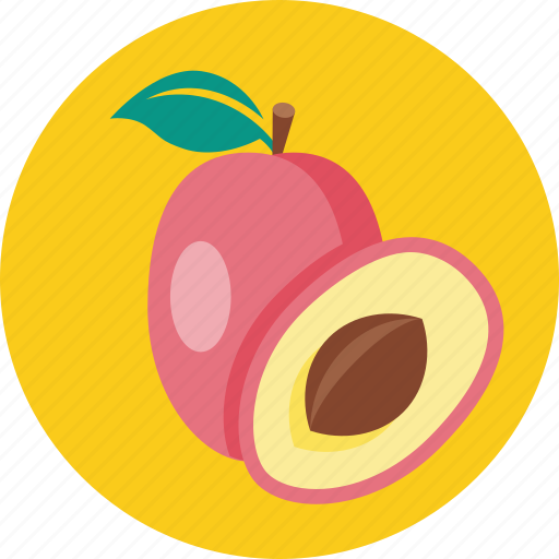 Food, plum, fruit icon - Download on Iconfinder