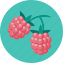food, raspberries, berry