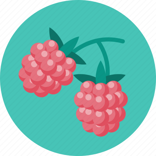 Food, raspberries, berry icon - Download on Iconfinder