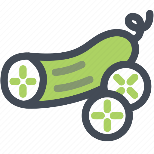 Cucumber, farm, food, produce, vegetables icon - Download on Iconfinder