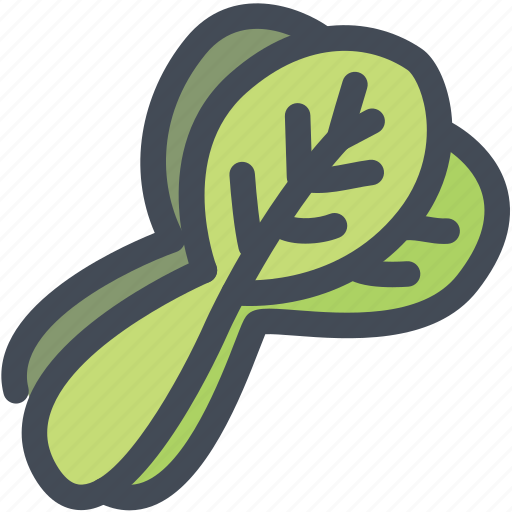 Bok choy, food, leaf, substract, vegetable icon - Download on Iconfinder