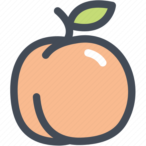 Food, fruit, healthy, organic, peach icon - Download on Iconfinder